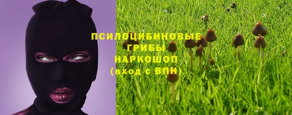 марихуана Абаза