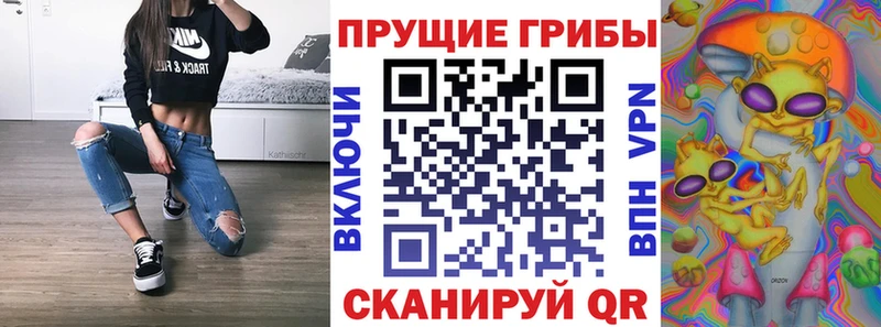 Галлюциногенные грибы Cubensis цены наркотик Бирюсинск